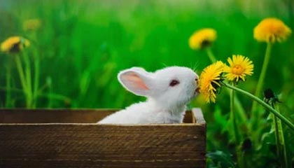 证券代码：688122 证券简称：西部超导 公告编号：2024-029