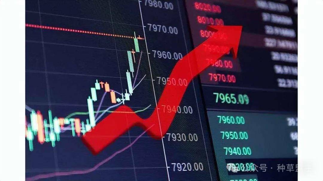 大A股：被严重低估的“半导体”龙头股！半导体才是未来极具成长性