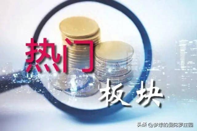 每一轮牛市行情最容易产生特大龙头股的是科技股板块，人工智能系
