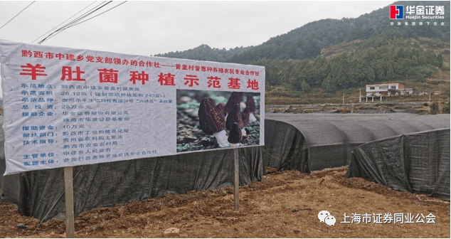 创新公益模式，华金证券引领金融帮扶新时代
