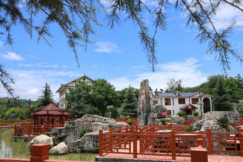贵州毕节七星关：以“最美庭院”为笔 绘就乡村新图景