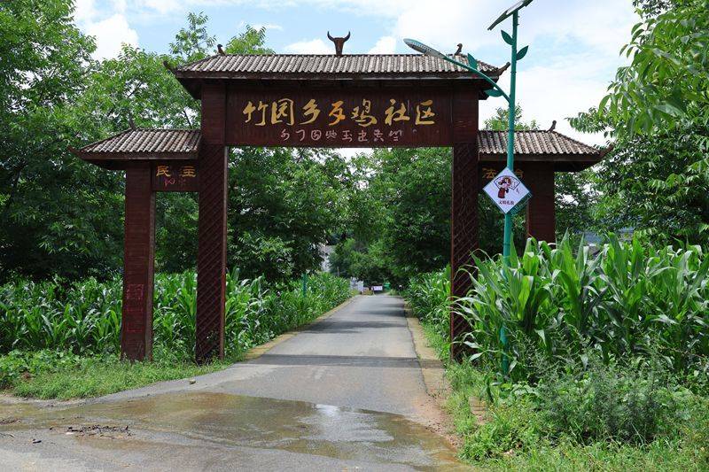 贵州毕节七星关：以“最美庭院”为笔 绘就乡村新图景