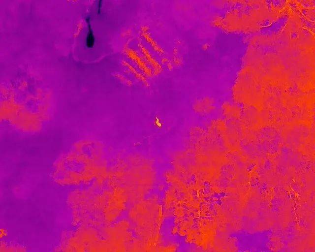 “找到了！有生命体征！”