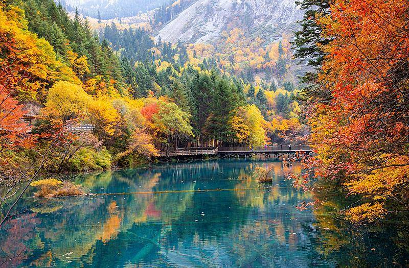 霜降已到，全国红叶上线中！这些“出片宝地”藏不住了