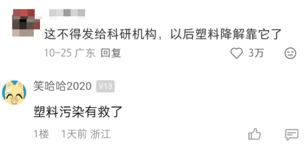 汽车被虫子啃得都是窟窿,“一边咬一边往里钻”!很多人中招