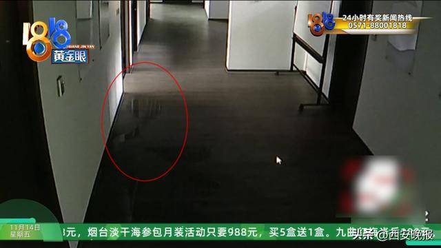 杭州一对婆媳上了趟厕所，竟被起诉索赔3-5万！“怀疑他们在找人背锅……”