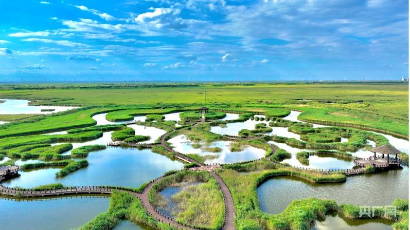 行进的海岸线｜从巡护车到“AI眼” 世界自然遗产南大港湿地的生态守护