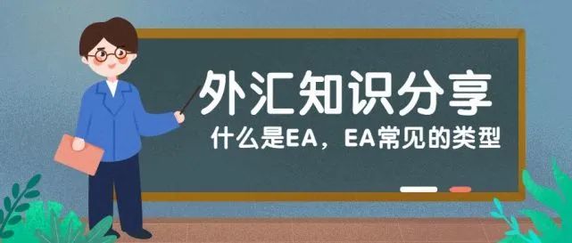 外汇110是什么(外汇110网站是什么)