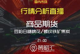 学习外汇视频(外汇课程视频教程)