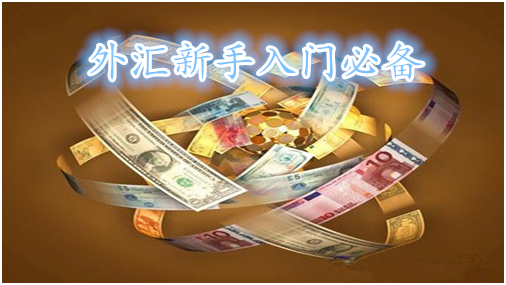 外汇特点有(外汇的基本特点有哪些)