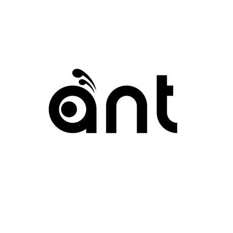 ant外汇(ant外汇平台)