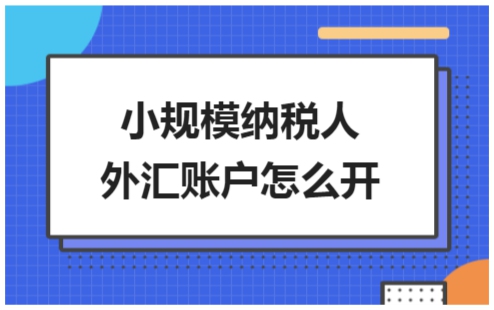 外汇怎么做账(外汇会计分录怎么做)