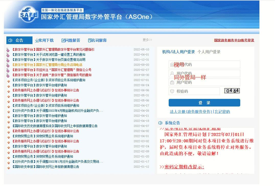 国家外汇局服务平台(国家外汇局网上服务平台官网)