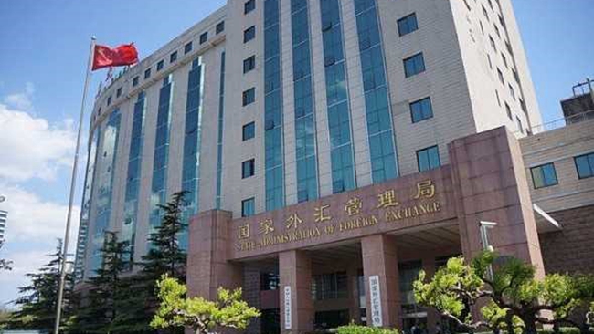 国家外汇局服务平台(国家外汇局网上服务平台官网)