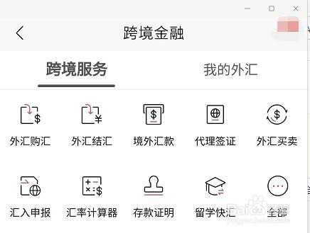 境外外汇账户(境外外汇账户如何开立)
