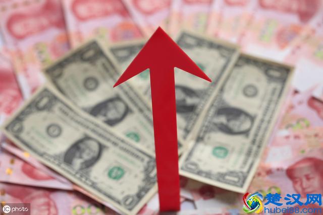 目前外汇储备(目前外汇储备中的主要币种包括)