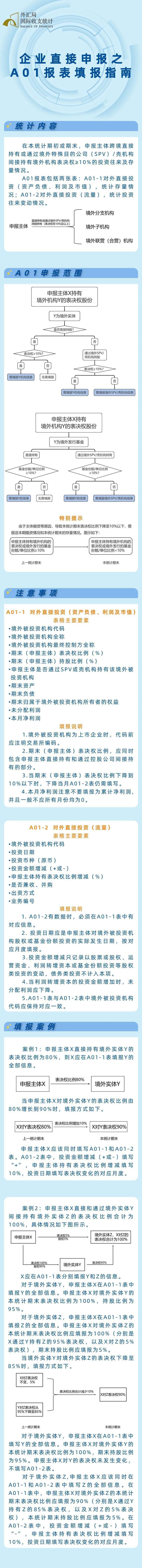 如何外汇申报(外汇申报填写什么最简单)