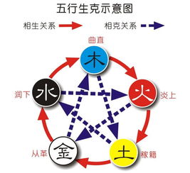 外汇五行(中国外汇网官方网站登录)