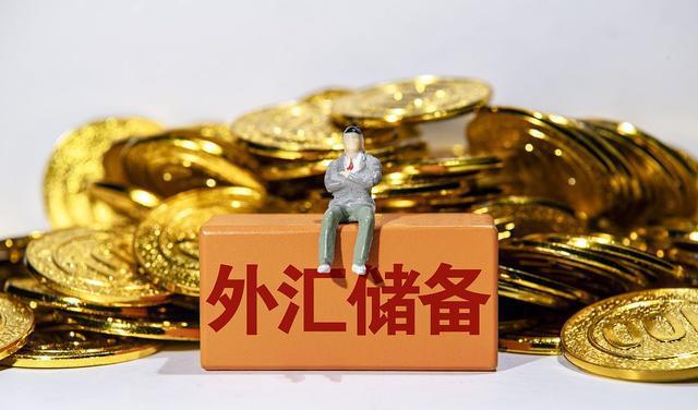 外汇损失(外汇损失报警抓代理人违法吗)