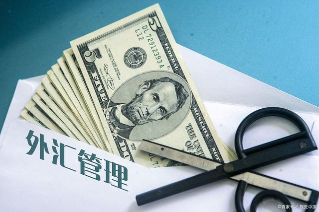 借外汇额度(外汇额度给别人违法吗)