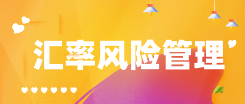 公司的外汇风险(公司外汇风险状况分析及对策研究)