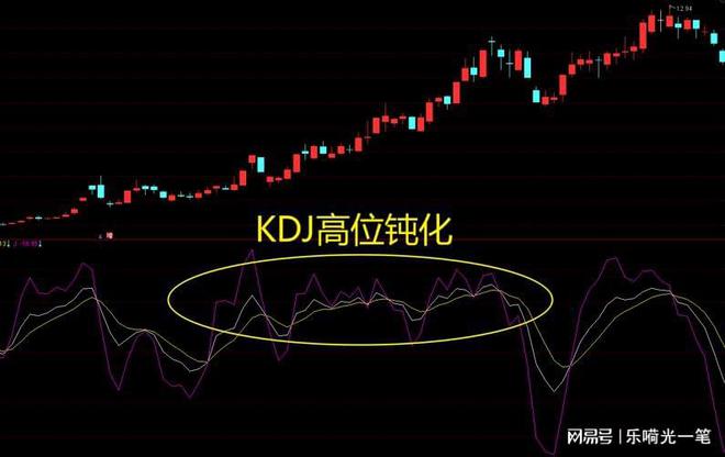 莱恩外汇(莱恩资本官网)