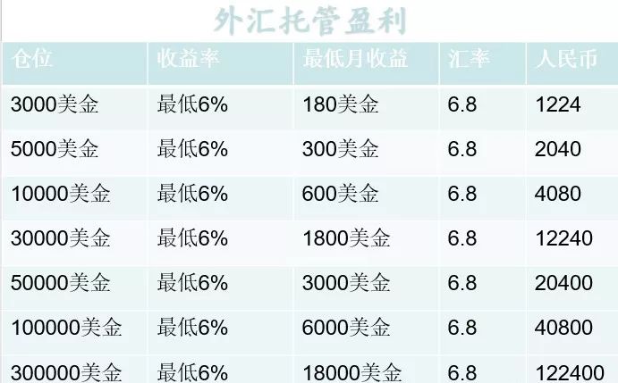 代付外汇(代付外汇的公司有哪些)