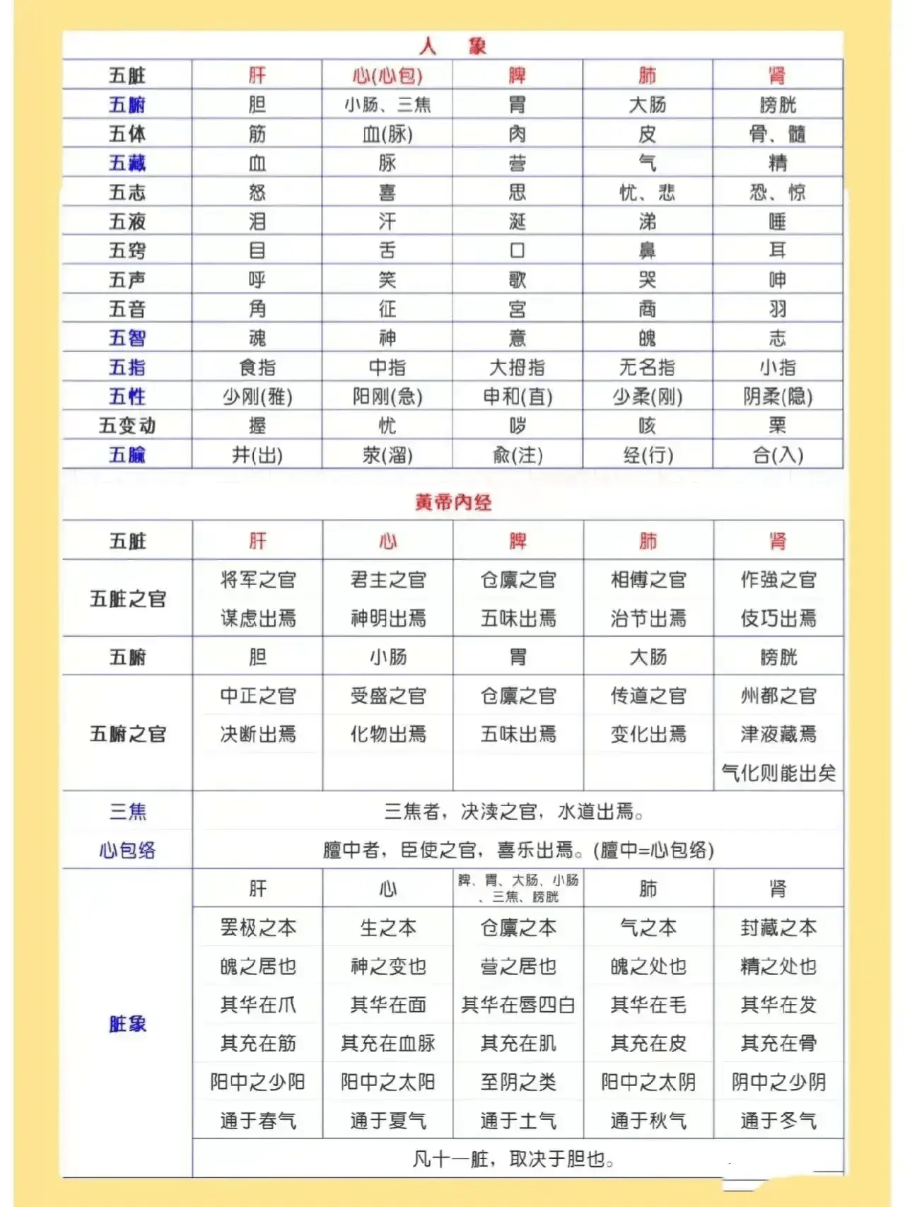 外汇五行(外汇五行属什么行业类别)
