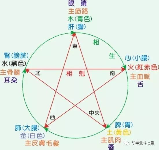 外汇五行(外汇五行属什么行业类别)