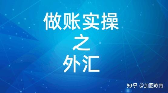 外汇账务(外汇业务账务处理)