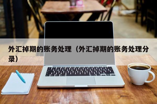 外汇账务(外汇业务账务处理)