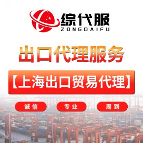代付外汇(代付外汇货款)