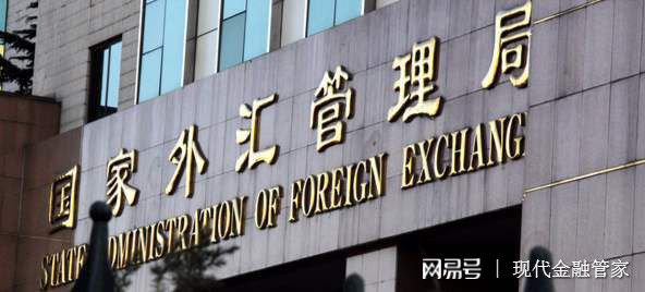 开放外汇市场(国内开放外汇市场)