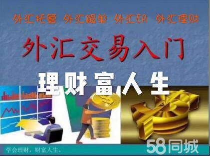 外汇托管跟单(外汇托管协议范本)