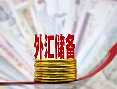 外汇储备作用(外汇储备的作用)
