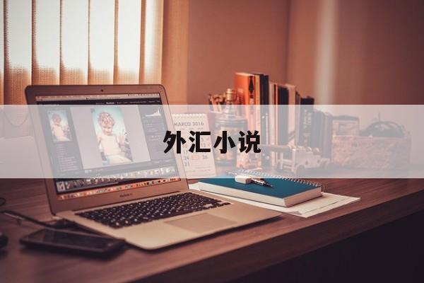 外汇小说(外汇小说系列)
