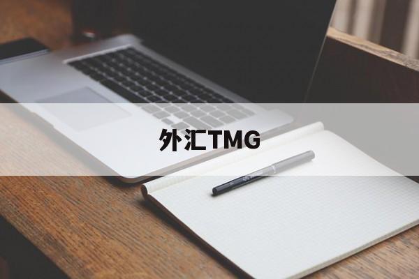 外汇TMG(外汇TMGM平台下载)